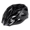 Alpina 2016 TOUR Panoma Classic black