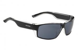 Alpina ALPINA 2015-16 CASUAL A 61 black transparent