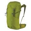 Salewa 2016 Ascent 35 Leaf Green